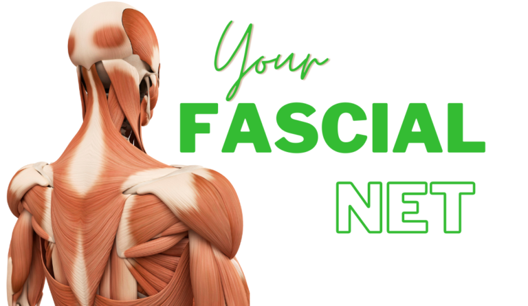 Fascial NEt