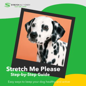 Stretch Me Please!